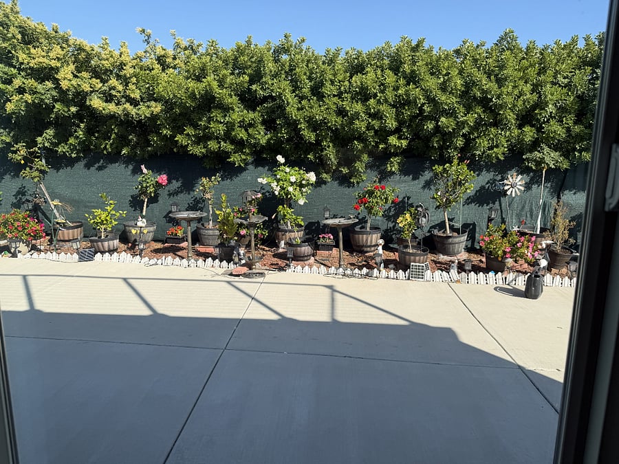 Furnished Finder property 1019064_1 photo 14
