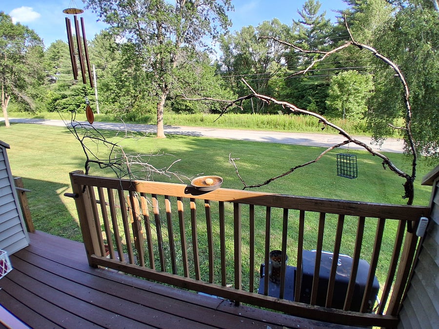 Furnished Finder property 1019077_1 photo 3