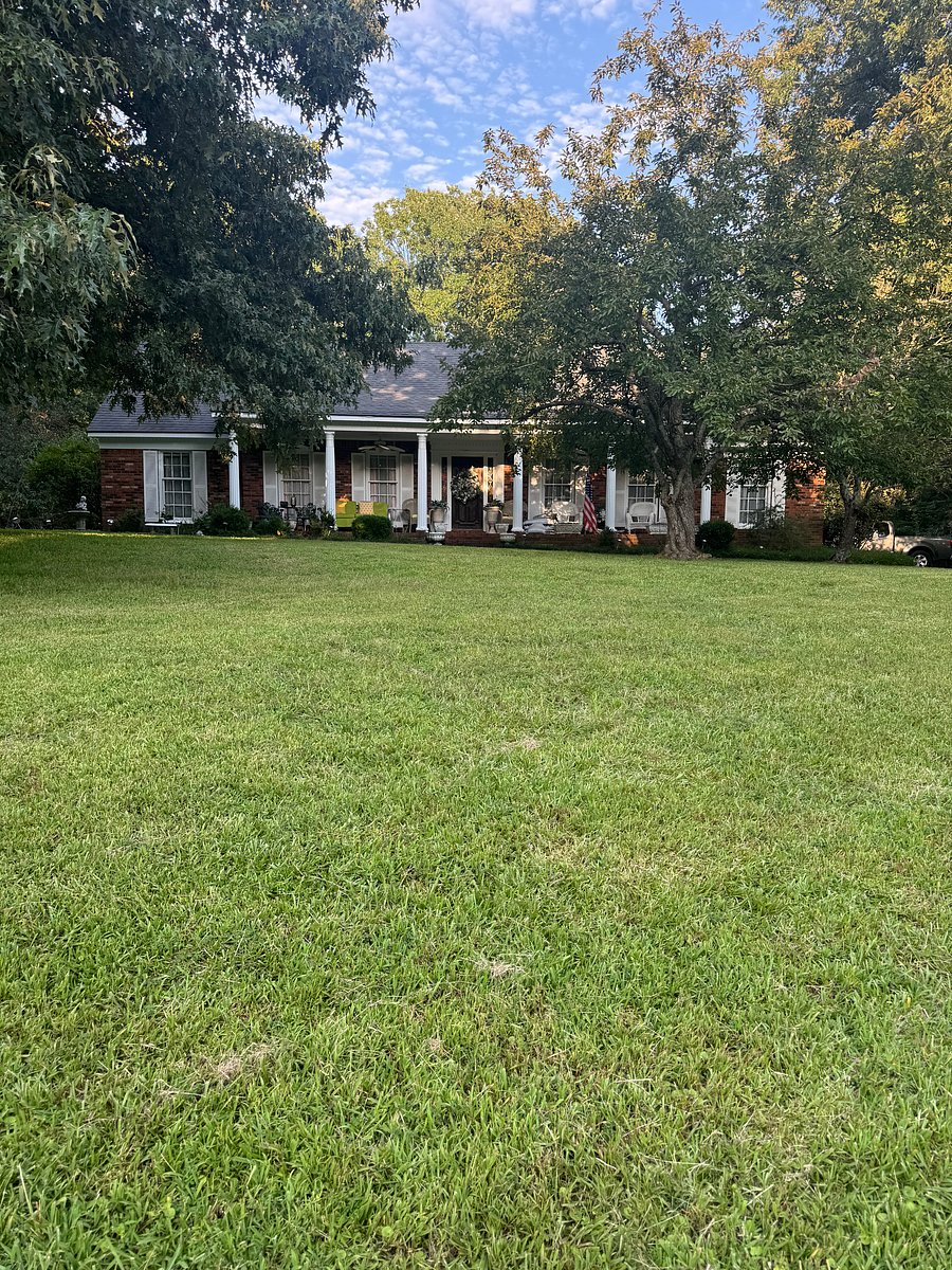 Furnished Finder property 1019078_1 photo 8