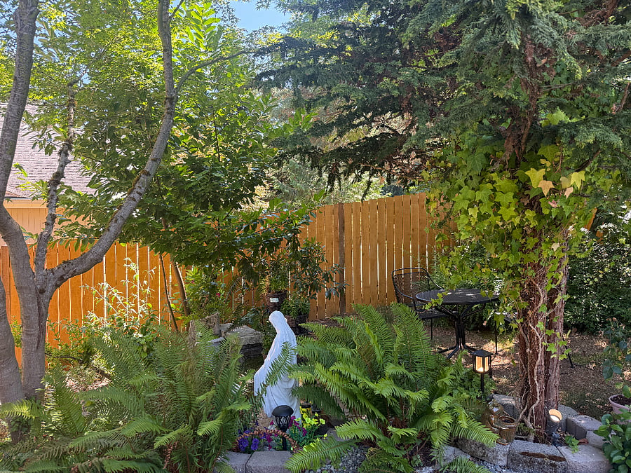 Furnished Finder property 1019096_1 photo 16
