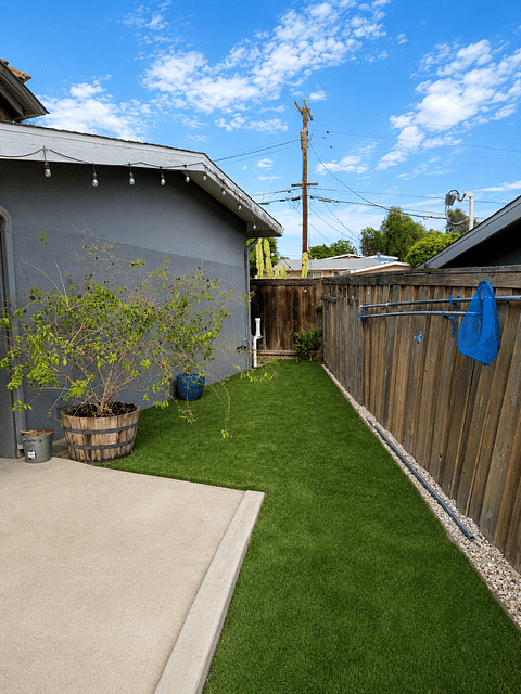 Turfed Yard
