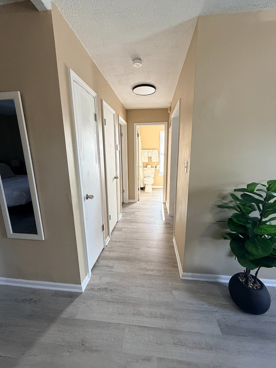 Furnished Finder property 1019178_1 photo 13
