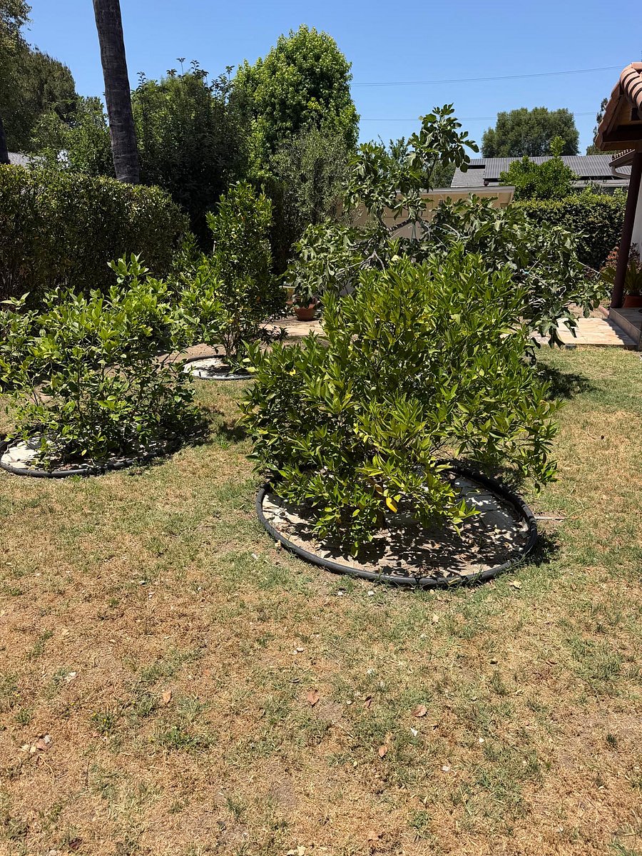 Furnished Finder property 1019226_1 photo 11