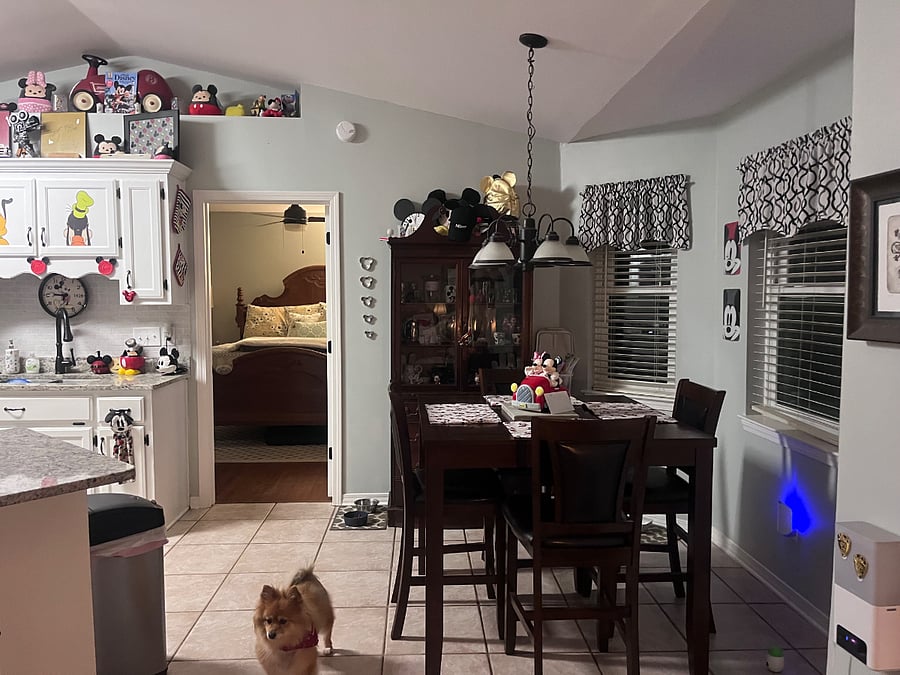 Furnished Finder property 1019231_1 photo 11