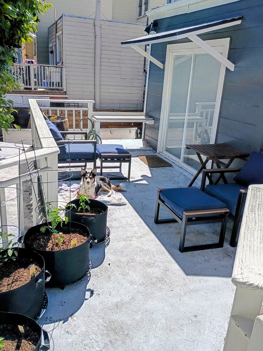 Furnished Finder property 1019254_1 photo 10