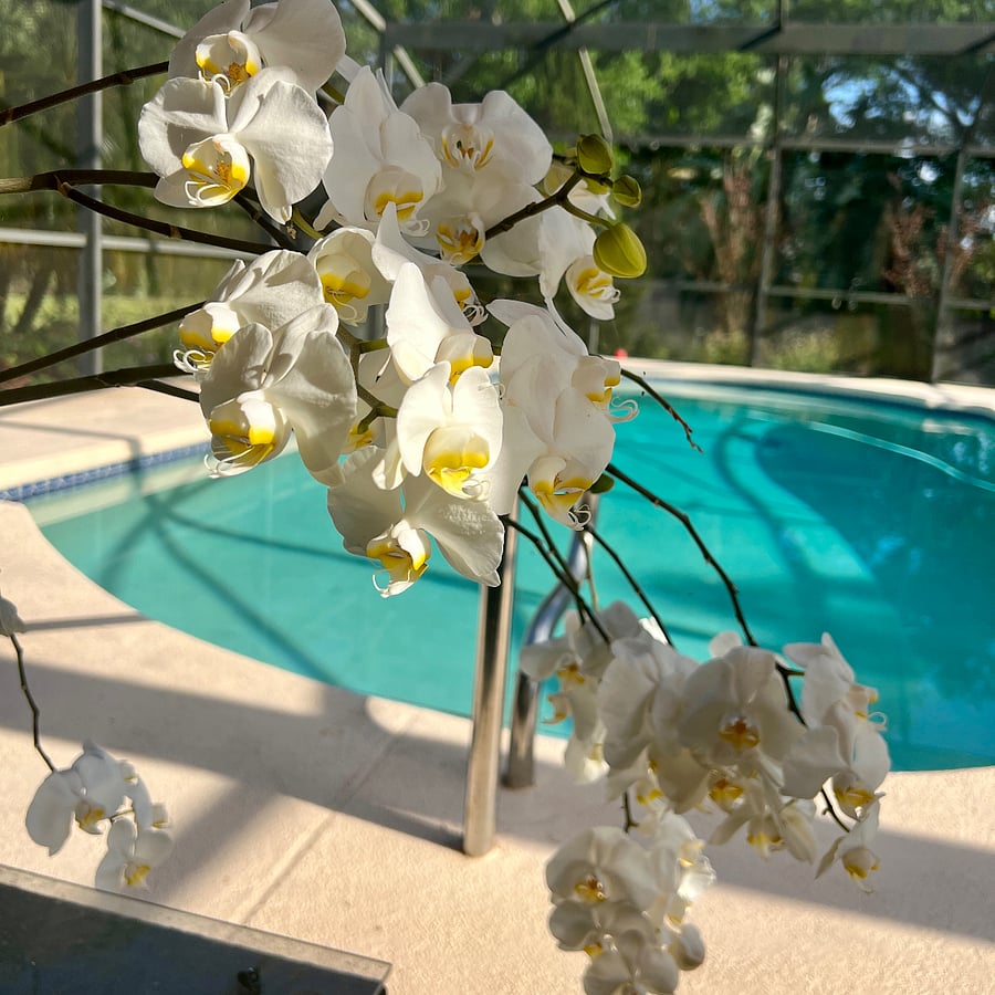 Furnished Finder property 1019281_1 photo 9