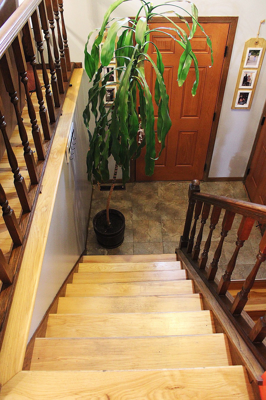 Furnished Finder property 1019344_1 photo 8