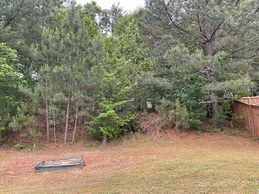 Furnished Finder property 1019363_1 photo 8