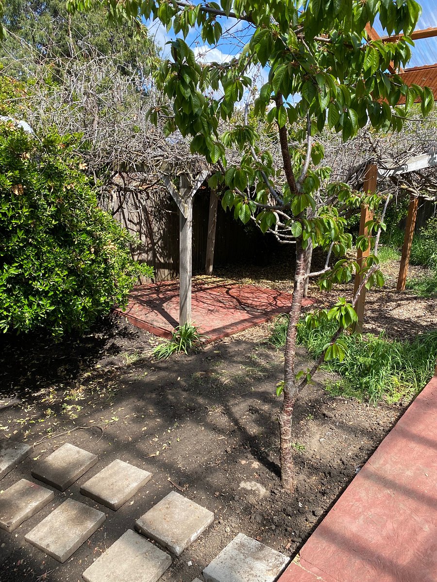 Furnished Finder property 1019368_2 photo 11