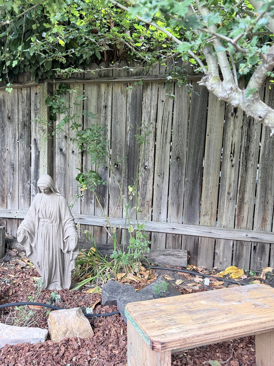 Furnished Finder property 1019368_2 photo 15