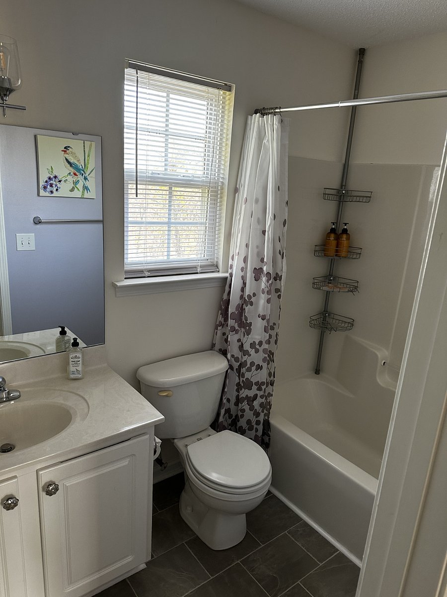 Furnished Finder property 1019369_1 photo 40