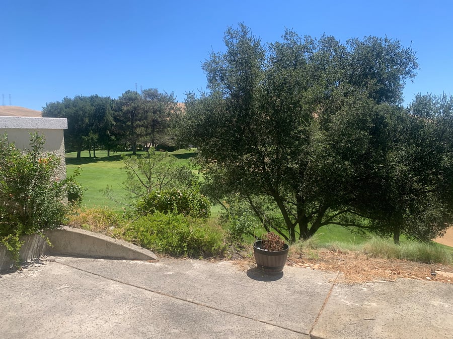 Furnished Finder property 1019381_1 photo 7