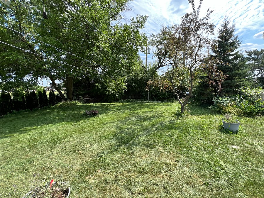 Furnished Finder property 1019414_1 photo 18