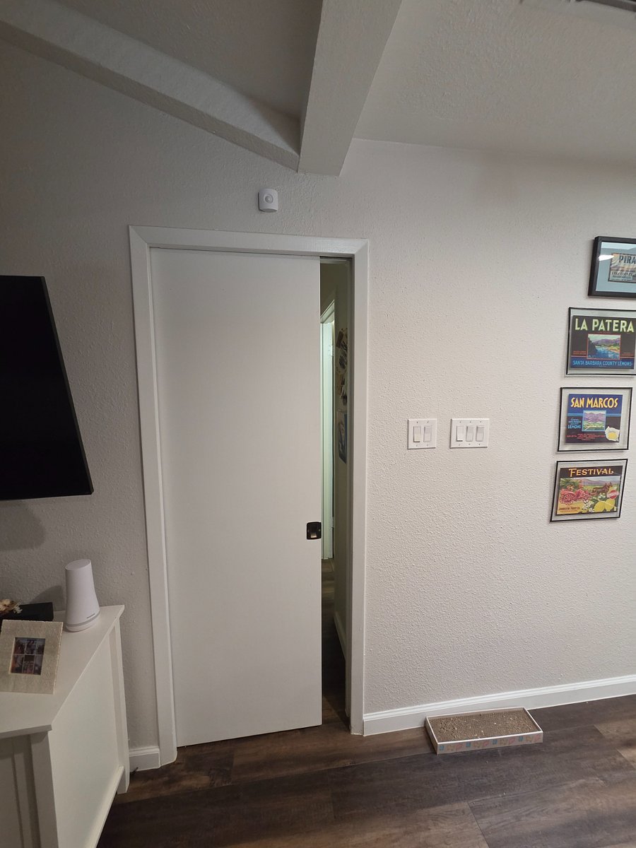 Pocket Door