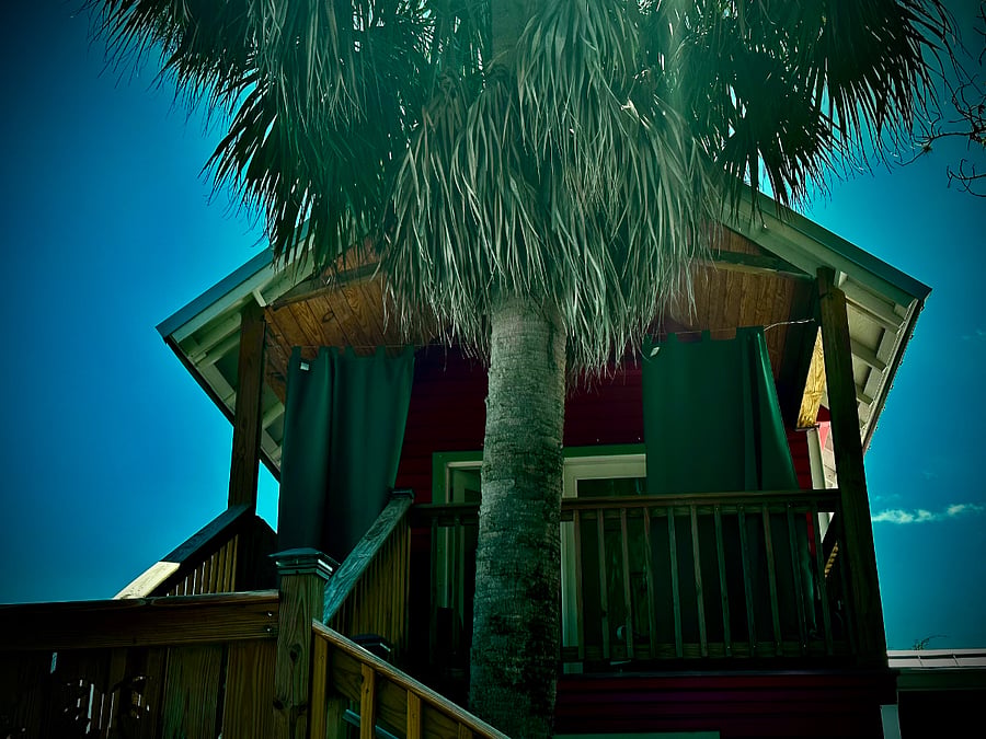Furnished Finder property 1019485_1 photo 16