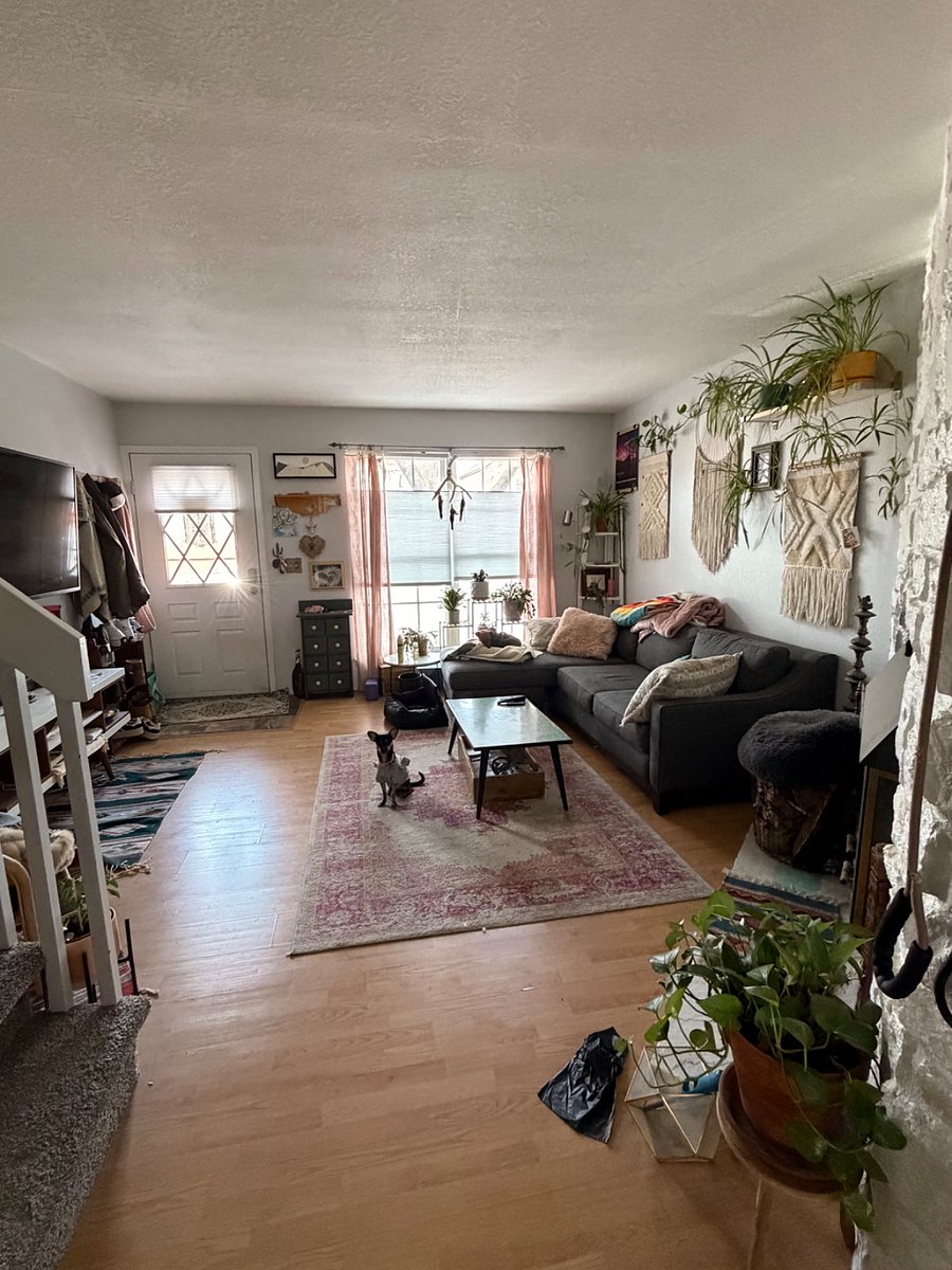 Furnished Finder property 1019509_1 photo 8