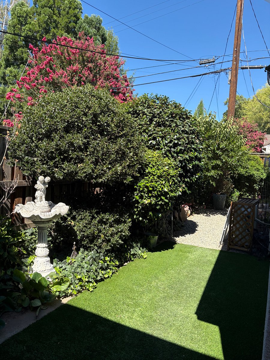 Furnished Finder property 1019518_1 photo 18