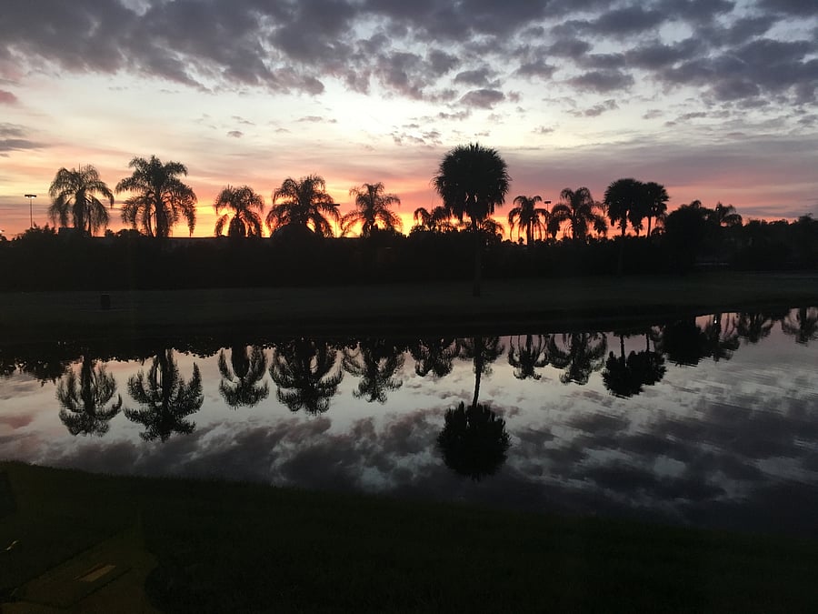 Morning sunrise view