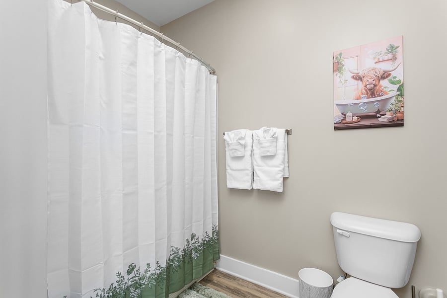 Furnished Finder property 1019542_1 photo 15