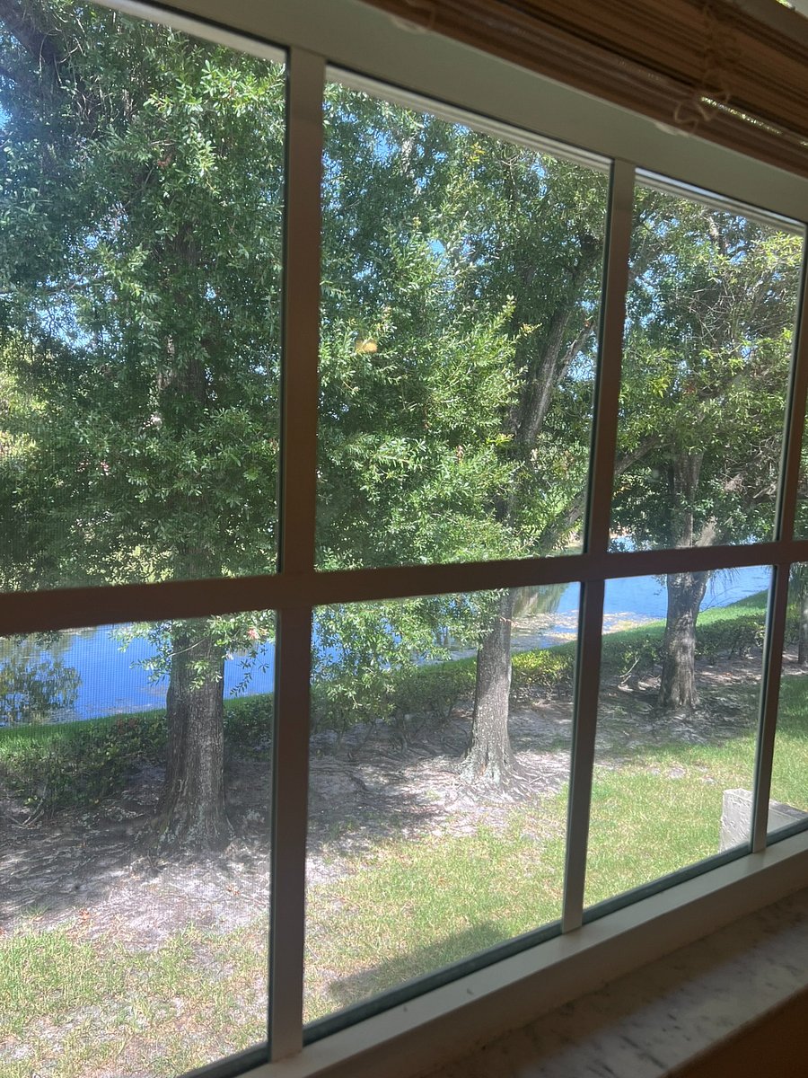 Furnished Finder property 1019602_1 photo 6