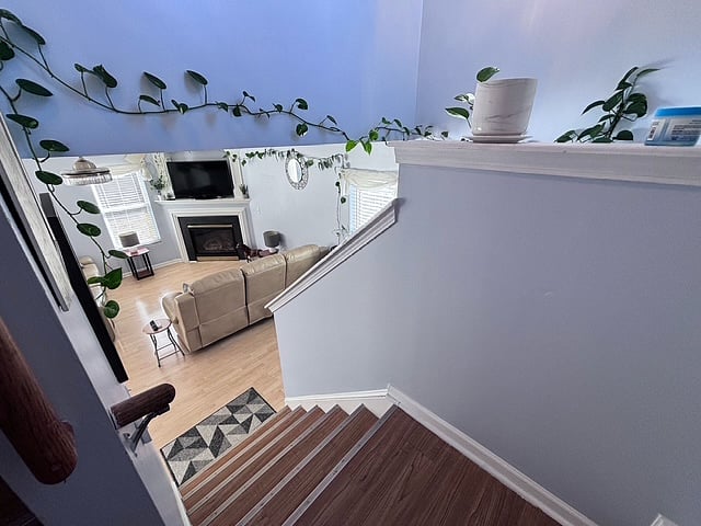 Furnished Finder property 1019610_1 photo 5