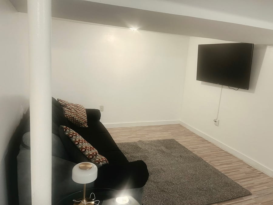 Basement living room