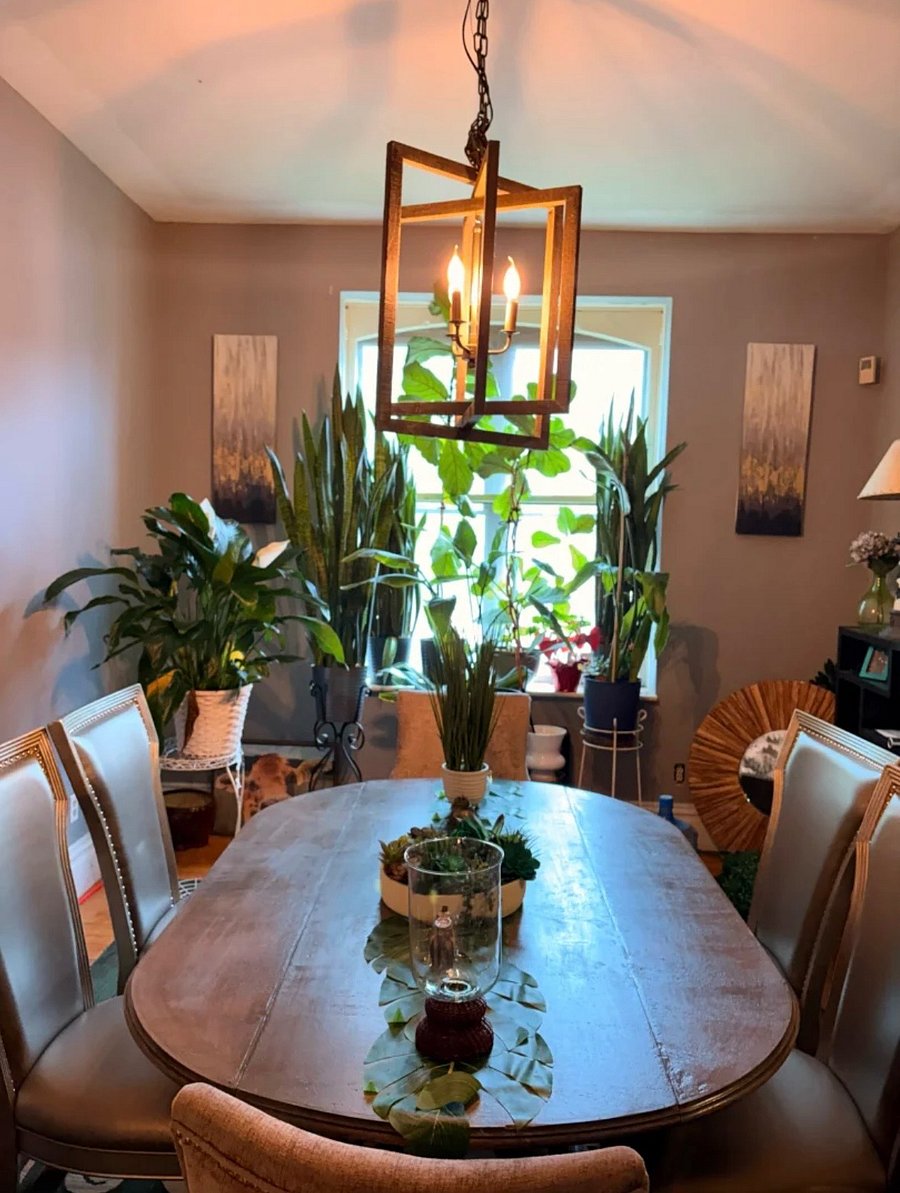 Furnished Finder property 1019642_1 photo 4
