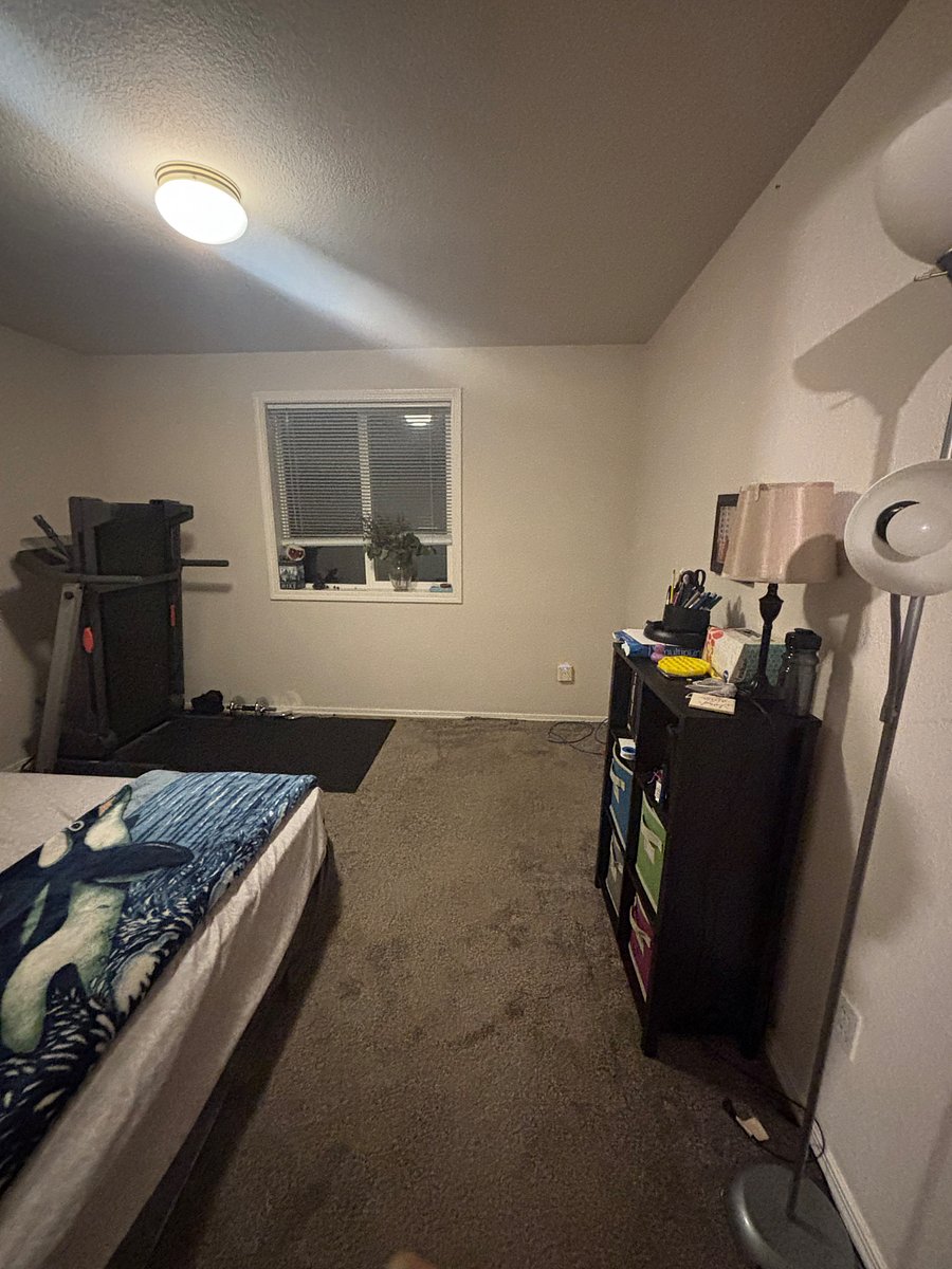 Furnished Finder property 1019661_1 photo 3