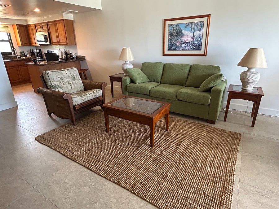 Living room with pull out sofa