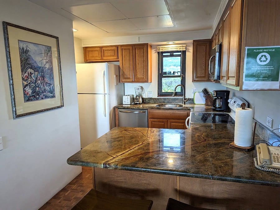 Kitchen area (Pre-remodel)