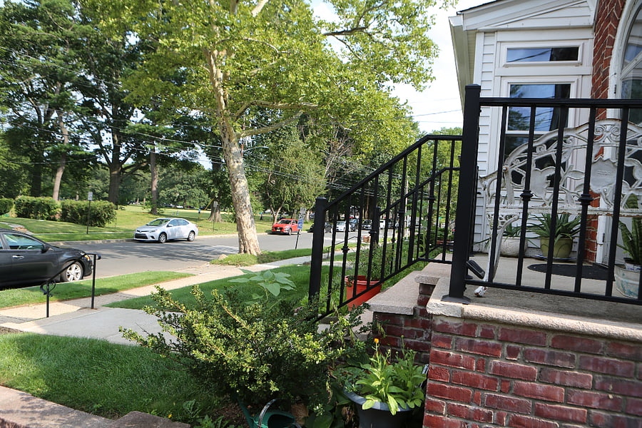 Warinanco Park - View from the house