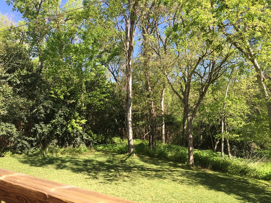 Furnished Finder property 1019862_1 photo 18