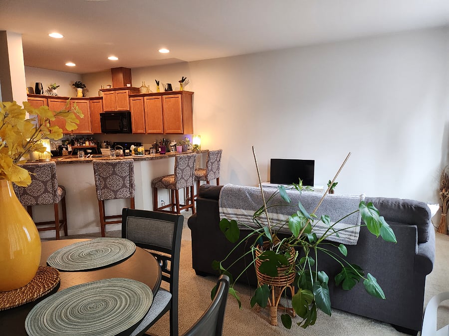 Furnished Finder property 1019873_1 photo 8