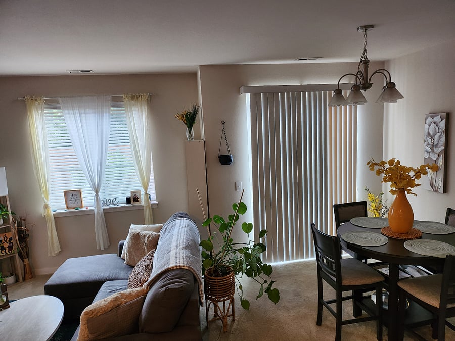 Furnished Finder property 1019873_1 photo 12