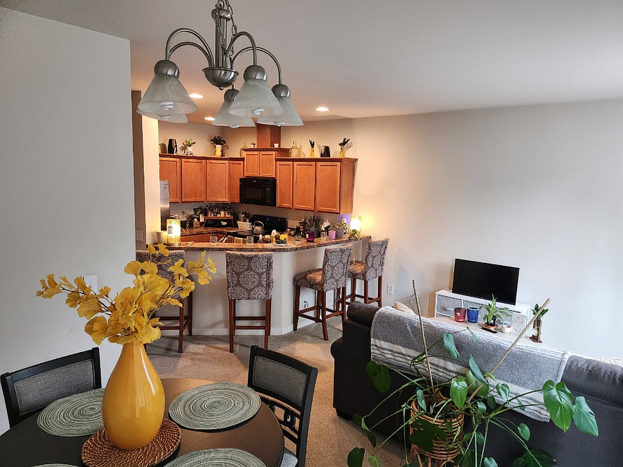 Furnished Finder property 1019873_1 photo 9
