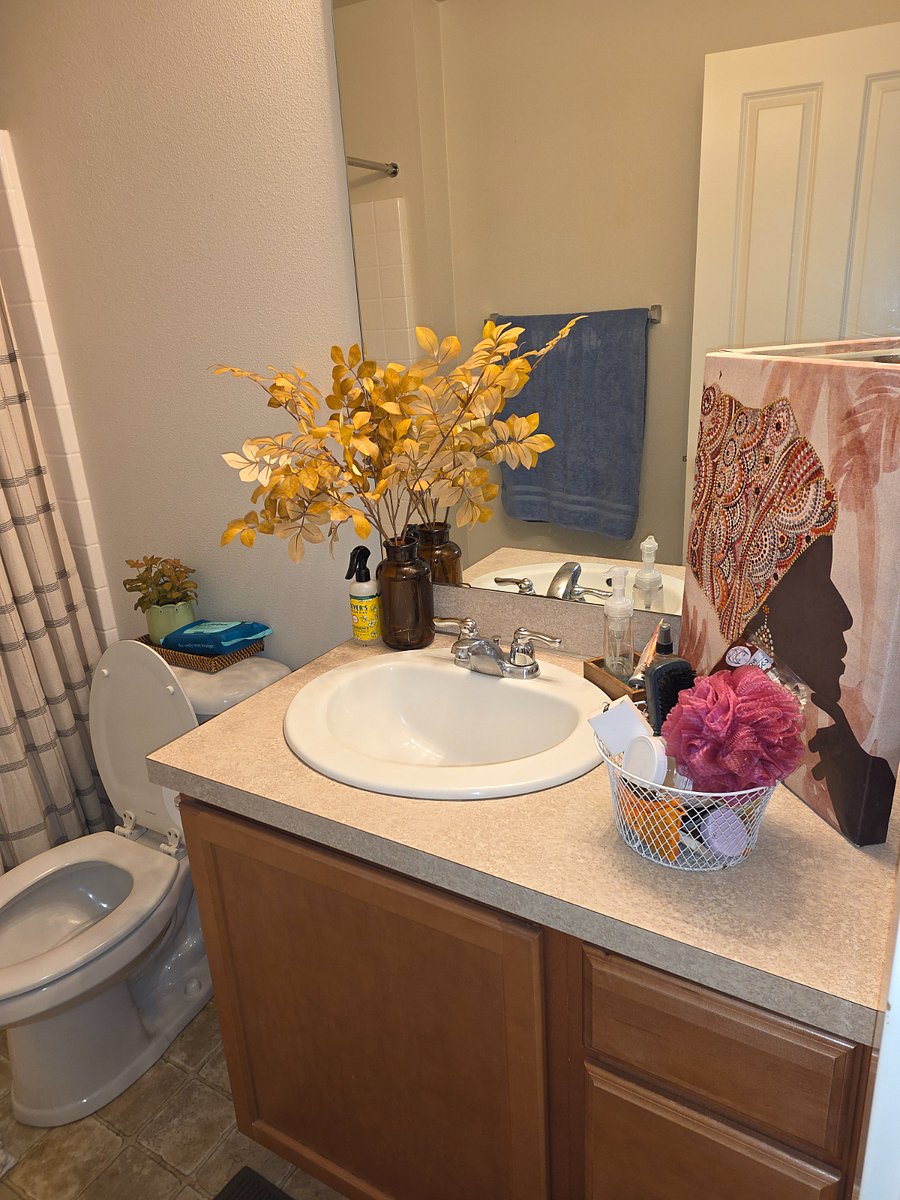 Furnished Finder property 1019873_1 photo 5