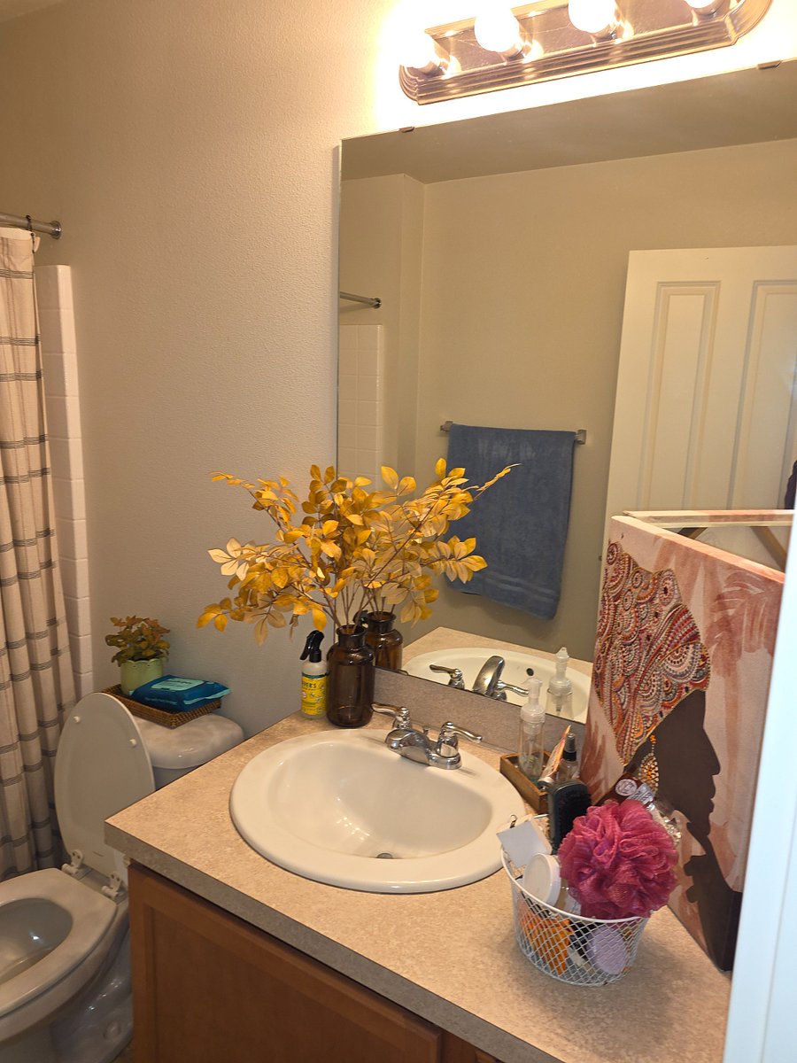 Furnished Finder property 1019873_1 photo 6