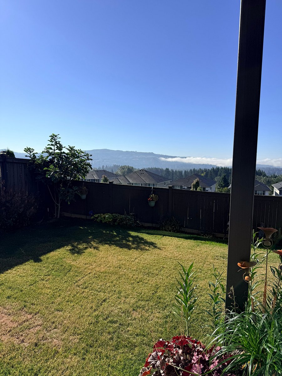 Furnished Finder property 1019909_1 photo 12