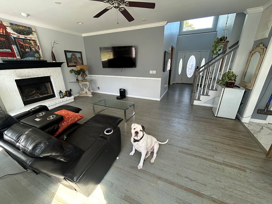 Furnished Finder property 1020096_1 photo 5