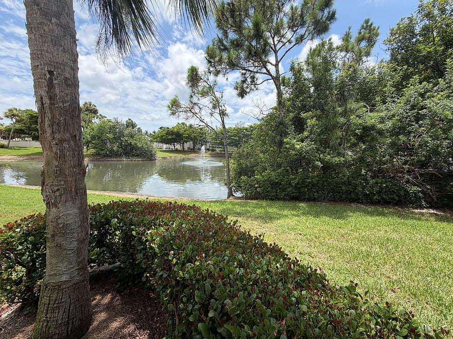 Furnished Finder property 1020222_1 photo 22