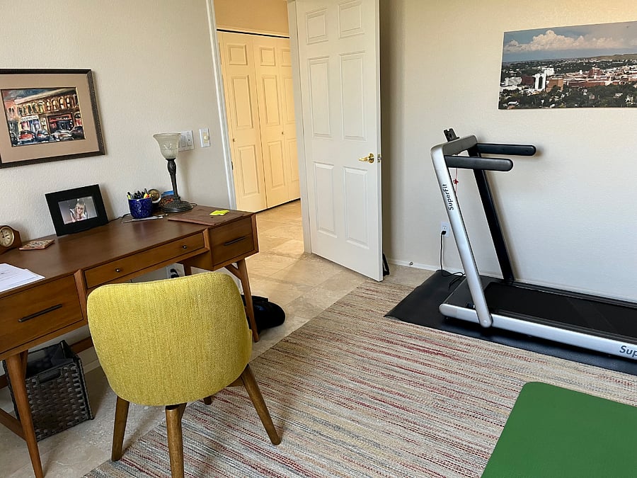 Den & fitness room
