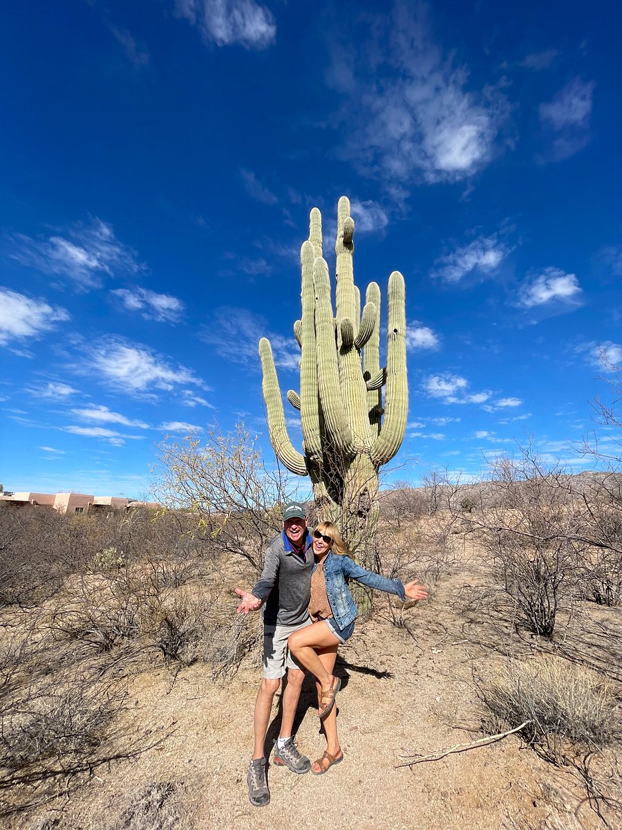 We welcome you to our home ~ Cactus is in our wash in our backyard.