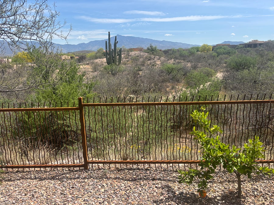 View from our back patio.
