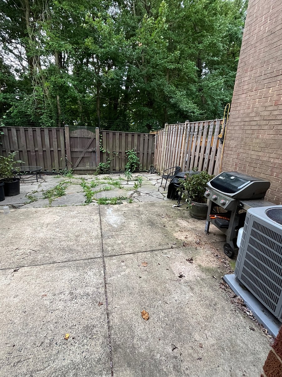 Back patio