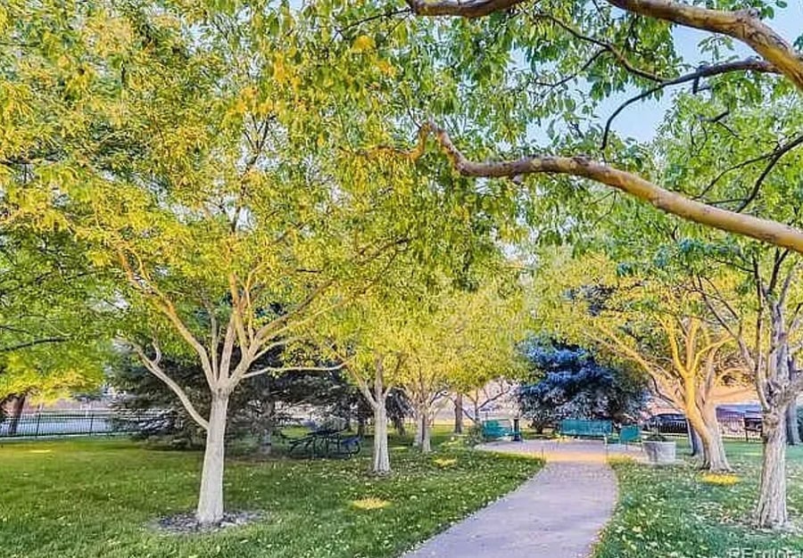 Our little private park. Fenced on 3 sides 