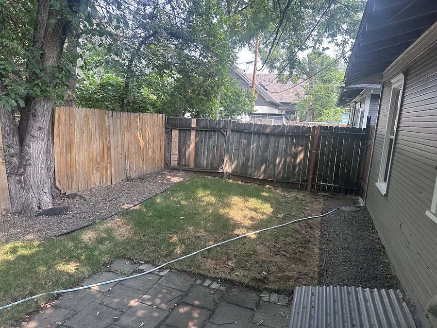 Backyard 1