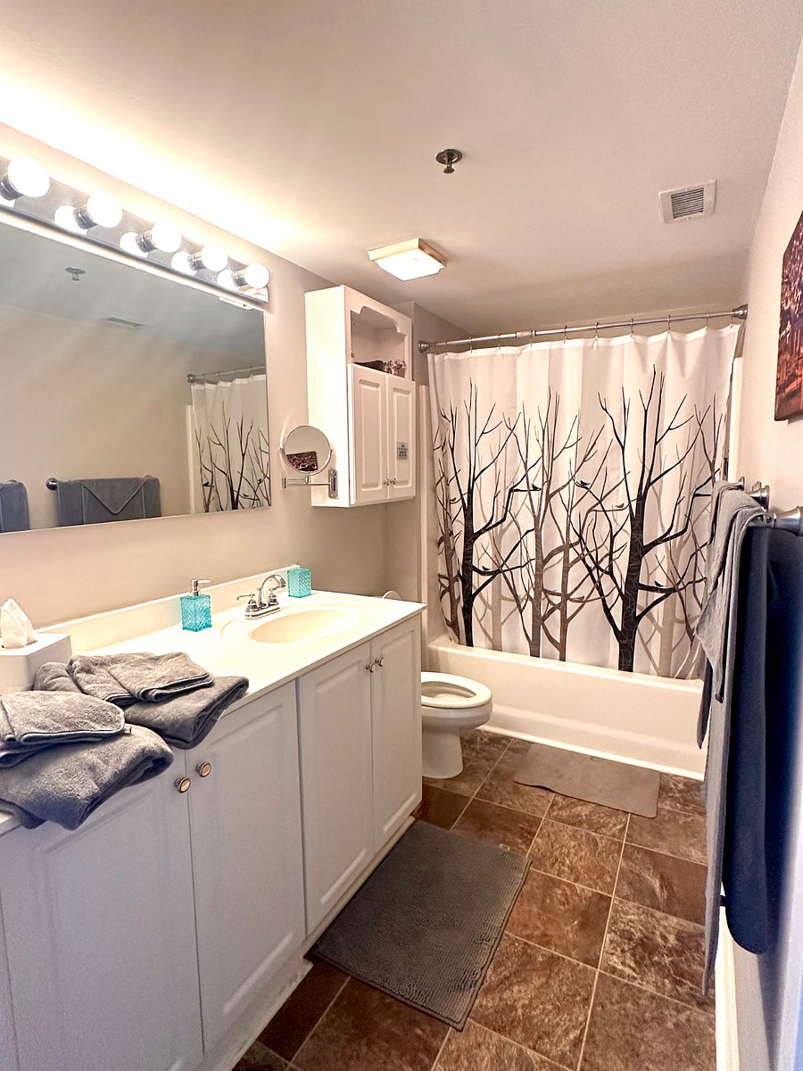 Furnished Finder property 1020494_1 photo 10