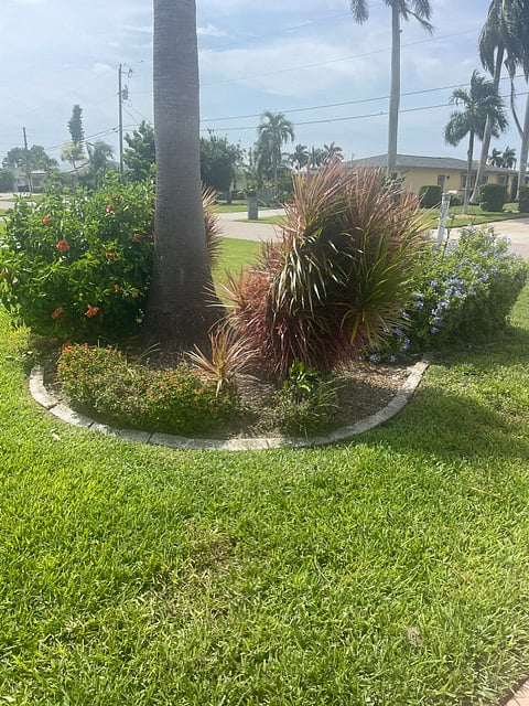Furnished Finder property 1020625_1 photo 11