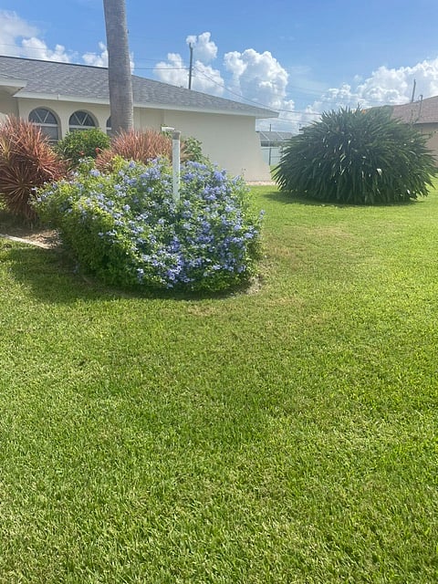 Furnished Finder property 1020625_1 photo 12