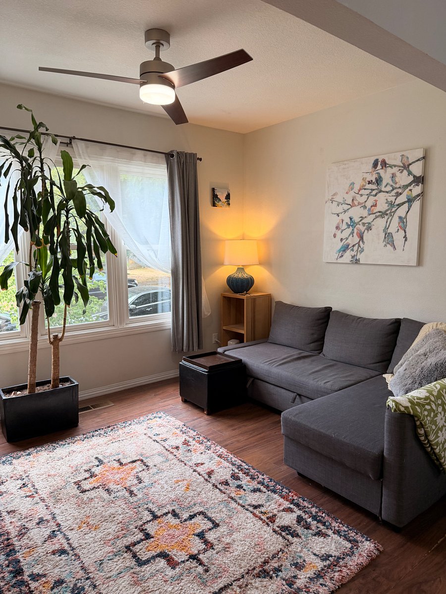 Living Room w/sofa bed